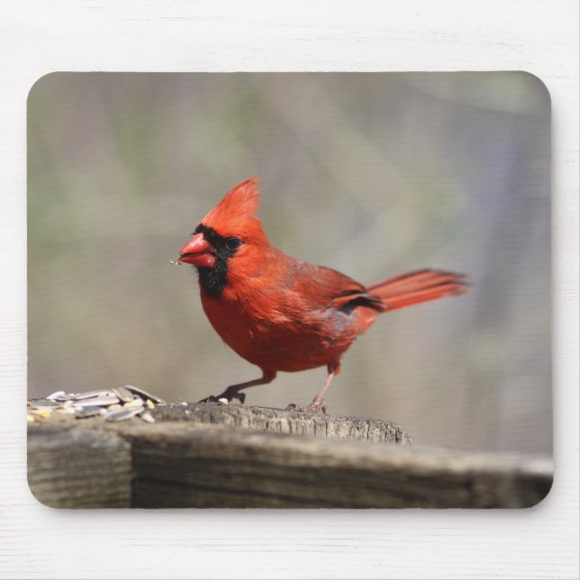 Kardinal Mousepad (Vorne)