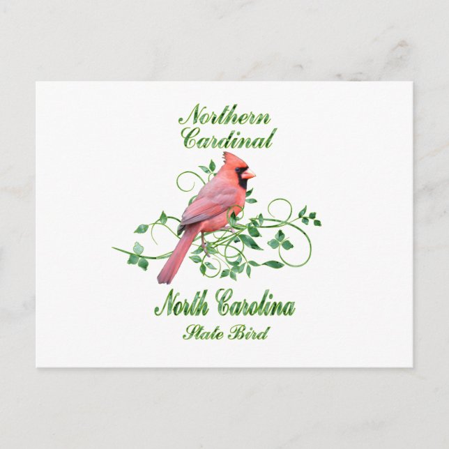 Kardinal North Carolina Staat Bird Postkarte (Vorderseite)