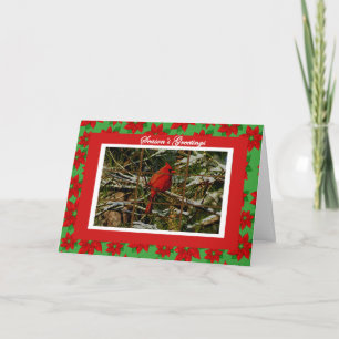 Kardinal on Snow Covered Branch Christmas Card Feiertagskarte