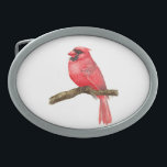 Kardinal Ovale Gürtelschnalle<br><div class="desc">Abbildung eines Kardinal-Vogels auf einem Ast,  der mit Aquarellfarben gemalt wurde,  kann man hier den Malprozess sehen: http://bit.ly/2zCeRZe</div>