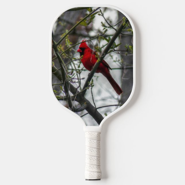 Kardinal Pickleball Schläger (Vorderseite)