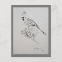 Kardinal Postkarte