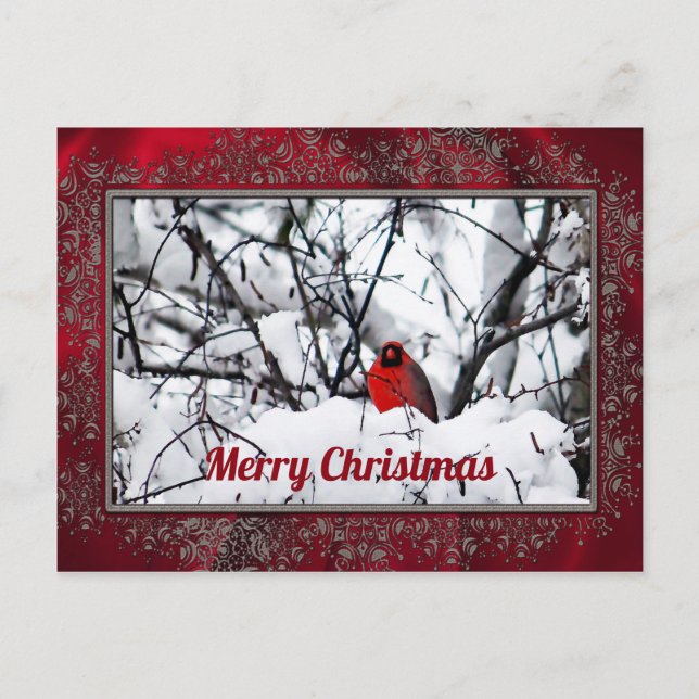 Kardinal Redbird Snow Foto Weihnachten Postkarte (Vorderseite)