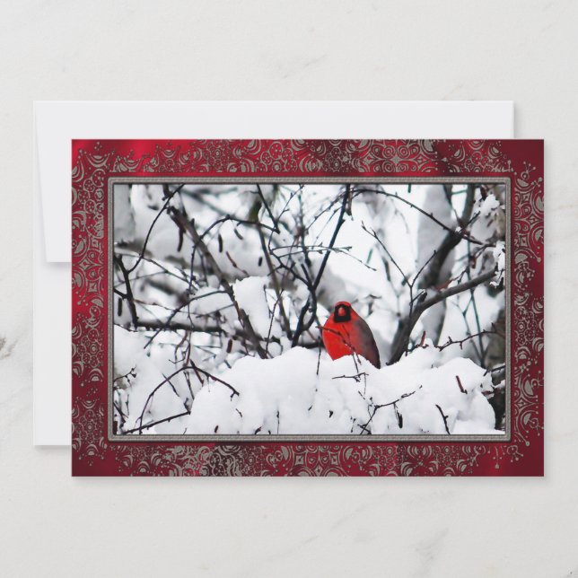Kardinal Redbird Snow Foto Weihnachtswohnung Feiertagskarte (Vorderseite)