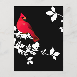 Kardinal Rot Vogel Schwarz Weiß Moderne Grußkarte Postkarte