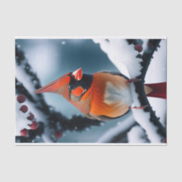 Kardinal Roter Winter Schneebaum Illustration Seidenpapier