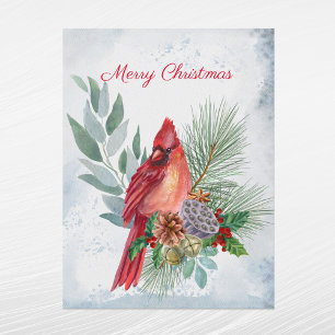 Kardinal Rotkiefer Grünzeug Weihnachten