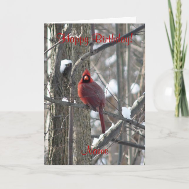 Kardinal-Singvogel im Winter Geburtstagskarte Karte (Vorderseite)
