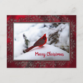 Kardinal Snow 6245 Rahmen Weihnachten Postkarte