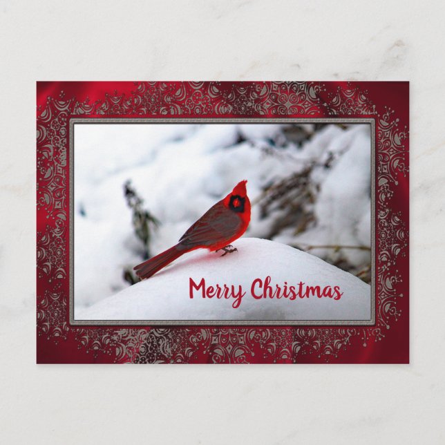 Kardinal Snow 6245 Rahmen Weihnachten Postkarte (Vorderseite)