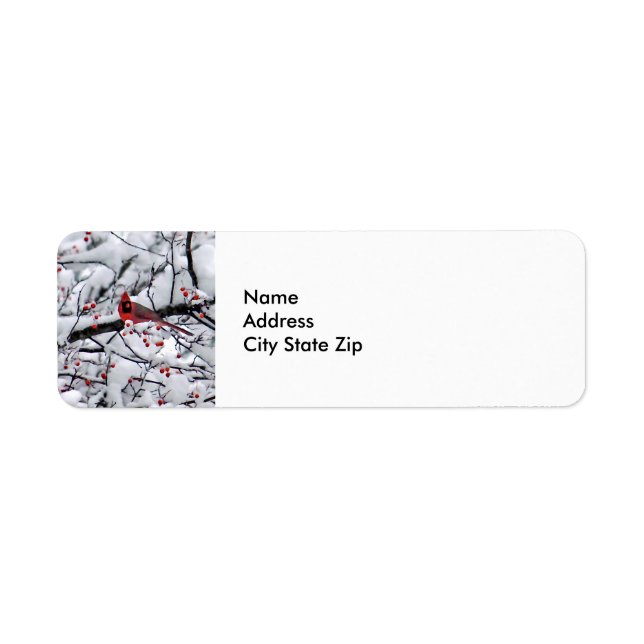 Kardinal Snow Tree Foto (Vorne)