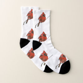 Kardinal Socken