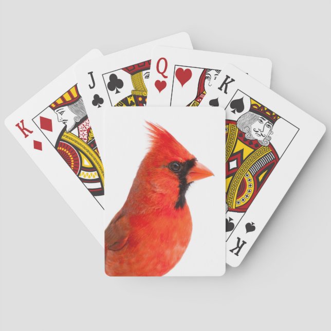 Kardinal Spielkarten (Rückseite)