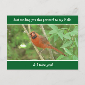 Kardinal Sprichwort Hallo und Miss You Postkarte