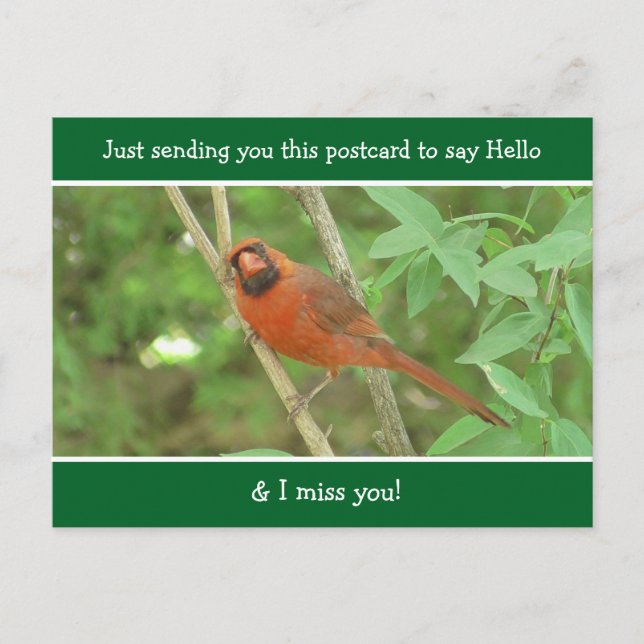 Kardinal Sprichwort Hallo und Miss You Postkarte (Vorderseite)