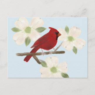 Kardinal und Dogwood Watercolor Postkarte
