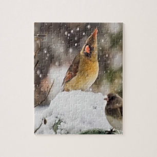 Kardinal und Funken im Schnee