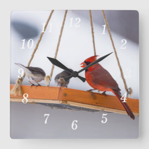 Kardinal und Juncos-Wall-Uhr Quadratische Wanduhr
