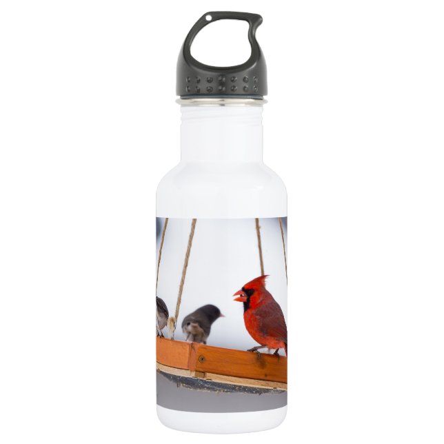 Kardinal und Juncos-Wasserflasche Edelstahlflasche (Vorderseite)