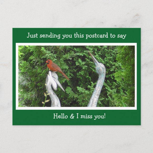 Kardinal Verstecken Sprichwort Hallo und Miss You Postkarte (Vorderseite)