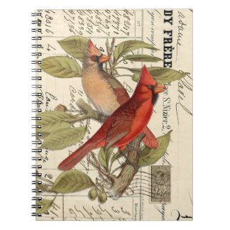 Kardinal Vintag French Spiraljournal Notizblock