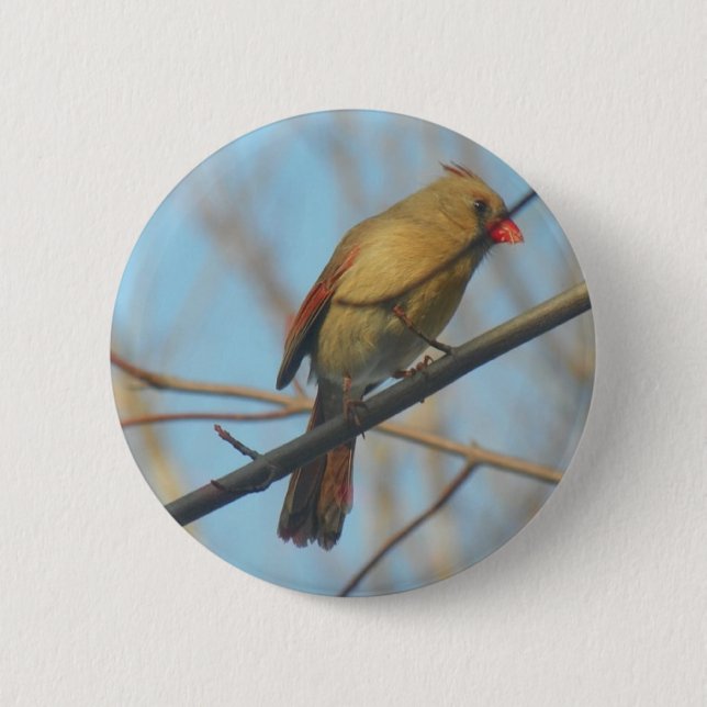 Kardinal/Vogel Button (Vorderseite)