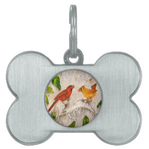 Kardinal Vögel. Gesang der Liebe Tiermarke