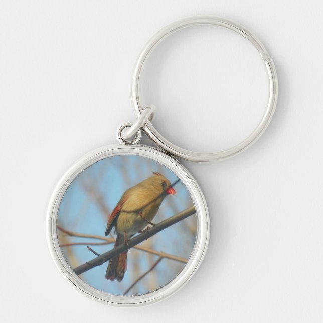 Kardinal/Vogel Schlüsselanhänger (Vorne)