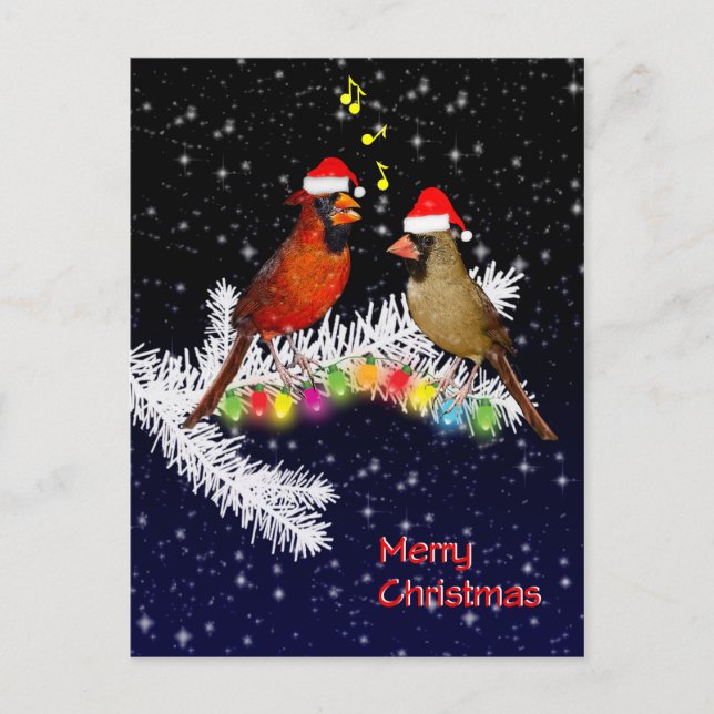 Kardinal Weihnachts Postkarte (Vorderseite)
