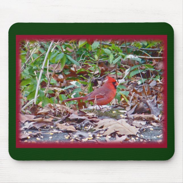 Kardinal Wild Songbird Serie Mousepad (Vorne)