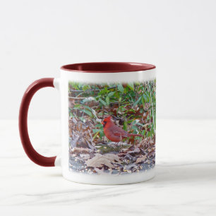 Kardinal Wild Songbird Serie Tasse