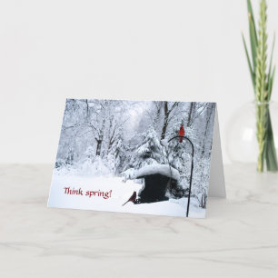 Kardinal Winterurlaub Geburtstagskarte Weihnachten