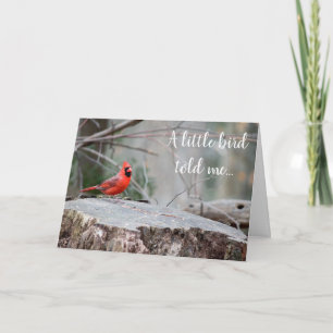 Kardinal Woodland Gruß Karte