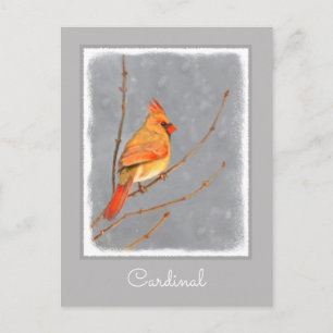 Kardinal zur Zweigmalerei - Originale Vogelkunst Postkarte