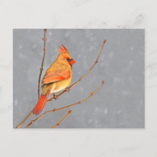 Kardinal zur Zweigmalerei - Originale Vogelkunst Postkarte (Vorderseite)