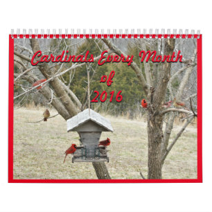 Kardinäle für jeden Monat 2016 können Jahr änd Kalender