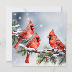 Kardinäle in der Snow Flat Holiday Card Feiertagskarte