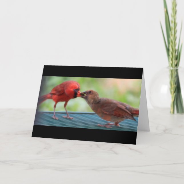 Kardinäle Karte (Vorderseite)