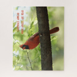 Kardinäle tauchen auf, wenn Engel in der Nähe sind