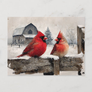 Kardinale Vintage Farm Postkarte