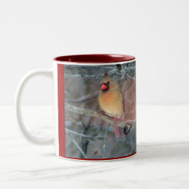 Kardinäle Zweifarbige Tasse