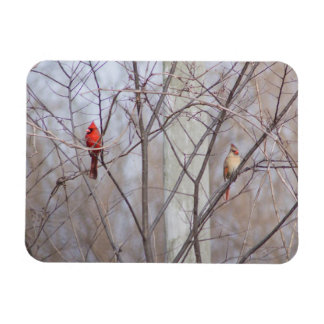 Kardinalfamilie Magnet