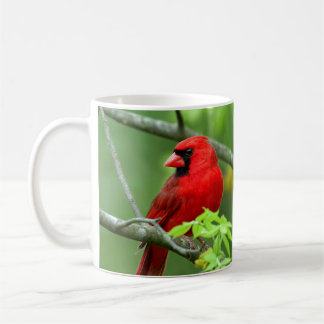 Kardinalkardinale auf dem Baum Kaffeetasse