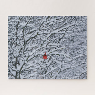 Kardinalroter Vogel in einem schneebedeckten Baum 