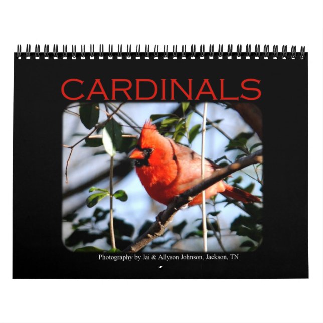 Kardinals-Kalender Kalender (Titelbild)