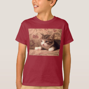 Kardinals-Kätzchen scherzt Shirt