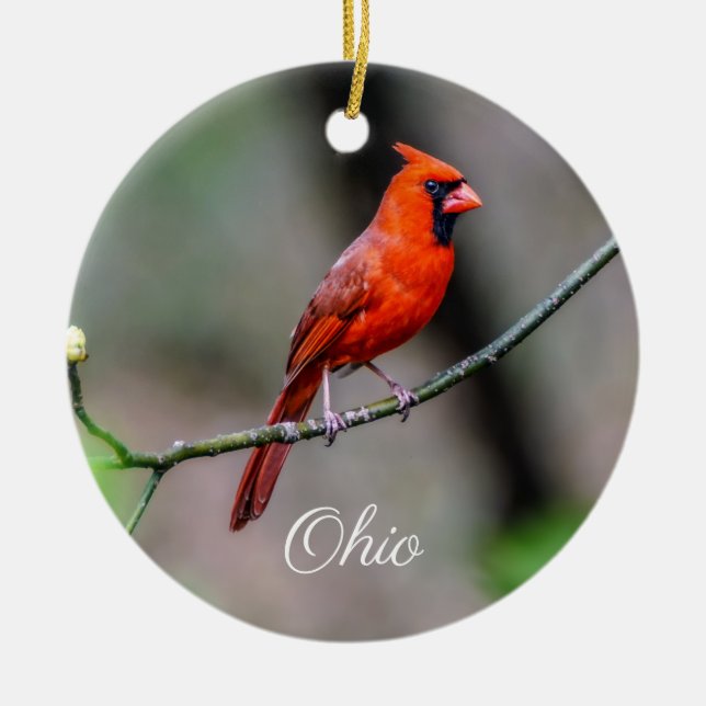 Kardinals-Ohio-Verzierung Keramik Ornament (Vorne)