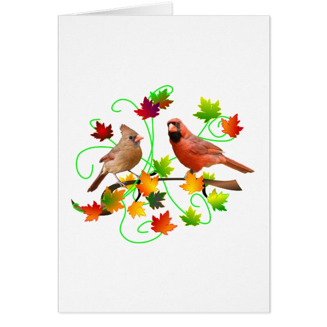 Kardinals-Paare (Vorne)