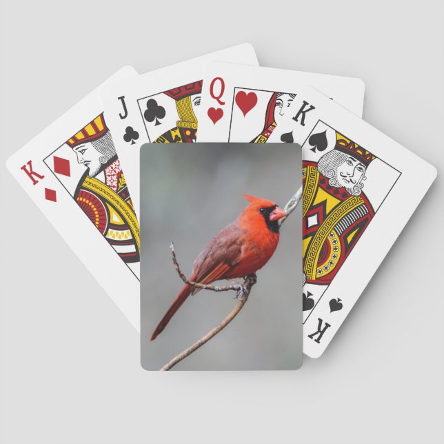 Kardinals-Spielkarten Spielkarten (Rückseite)