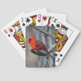 Kardinals-Spielkarten Spielkarten